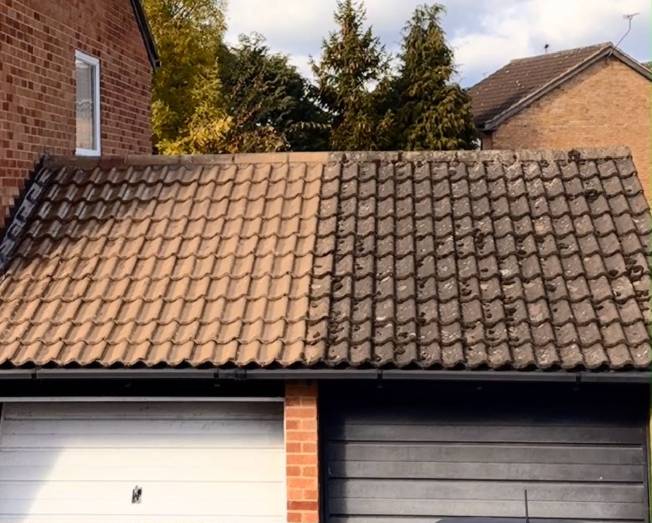 Pantile garage roof photographed mid-clean: the left half is cleaned back to bare terracotta tile while the right half is still dark with moss and lichen growth.