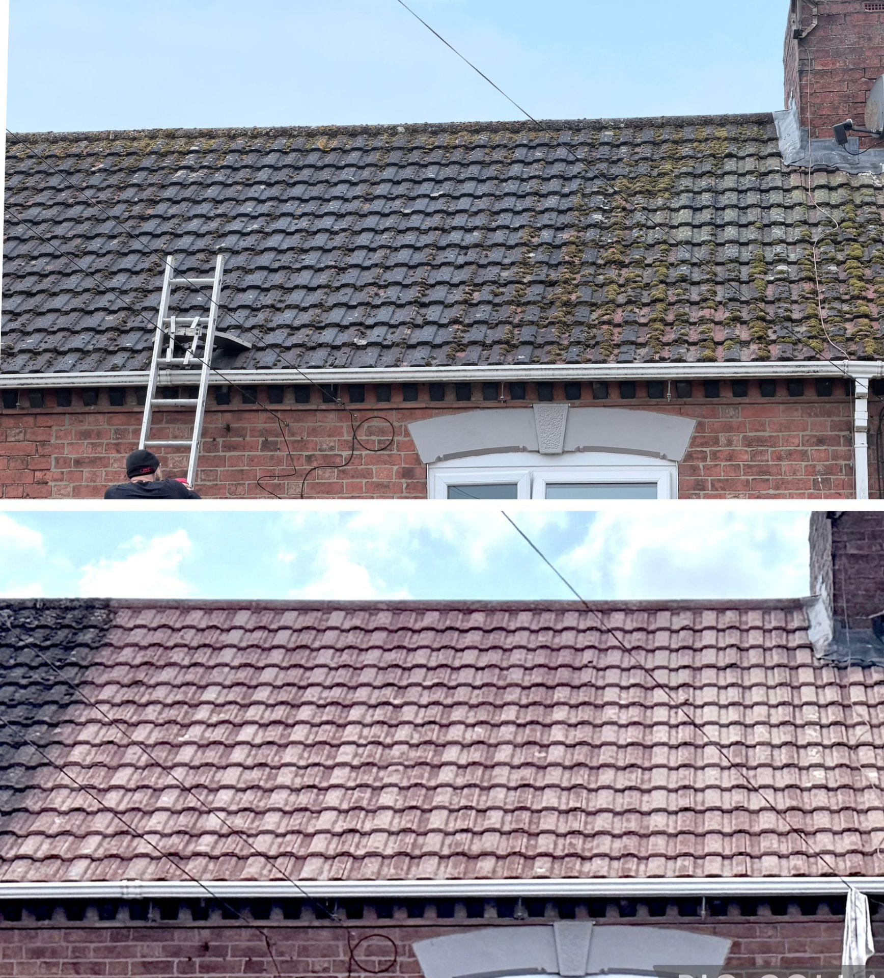 Combined before and after photograph of a terraced house roof: the upper frame shows the whole pitch covered in moss with a ladder in place, the lower frame shows the same pitch cleaned with ridge and courses of red tile clearly visible.