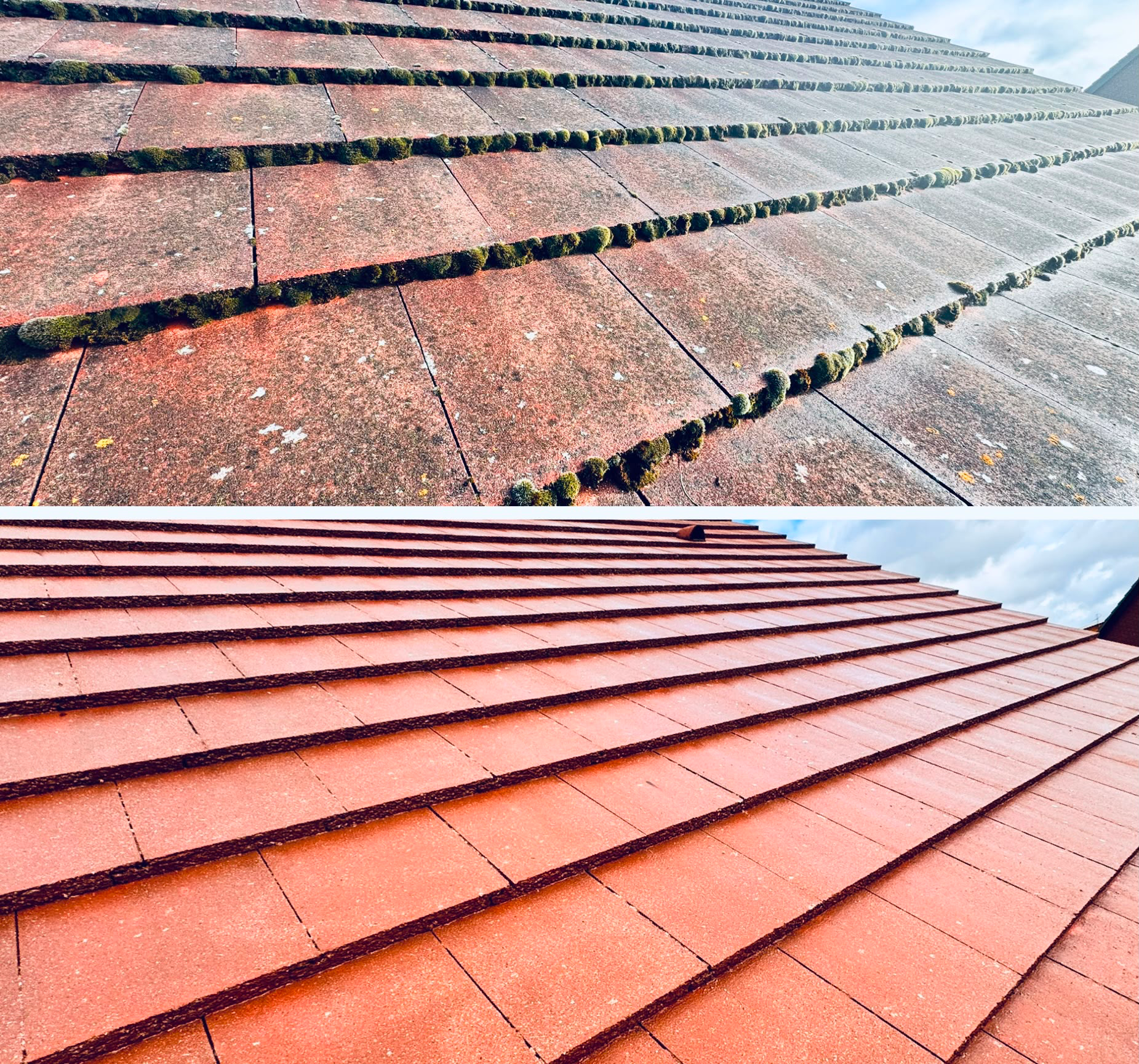 Combined before and after photograph taken close to the tile surface: the upper frame shows continuous strips of moss growing along every tile join, the lower frame shows the same courses cleaned to a uniform red tile finish.