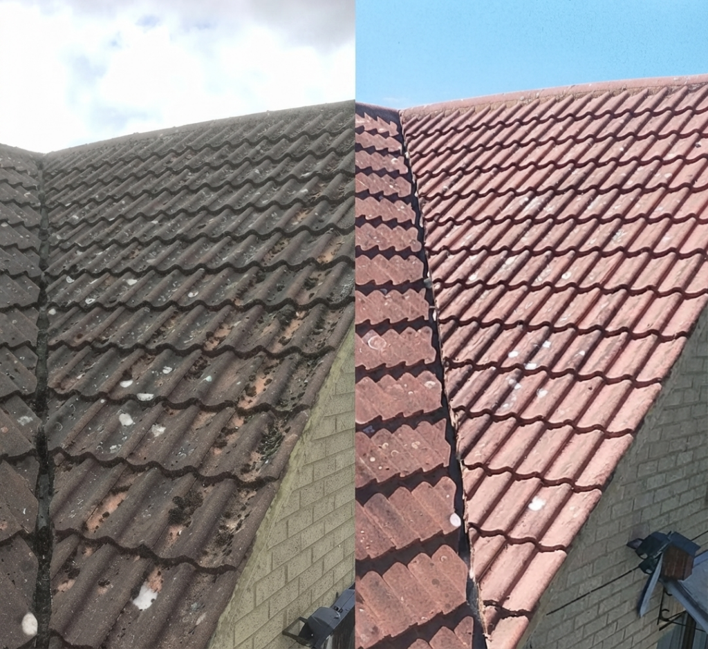 Sky Scrapers roof cleaning project 3