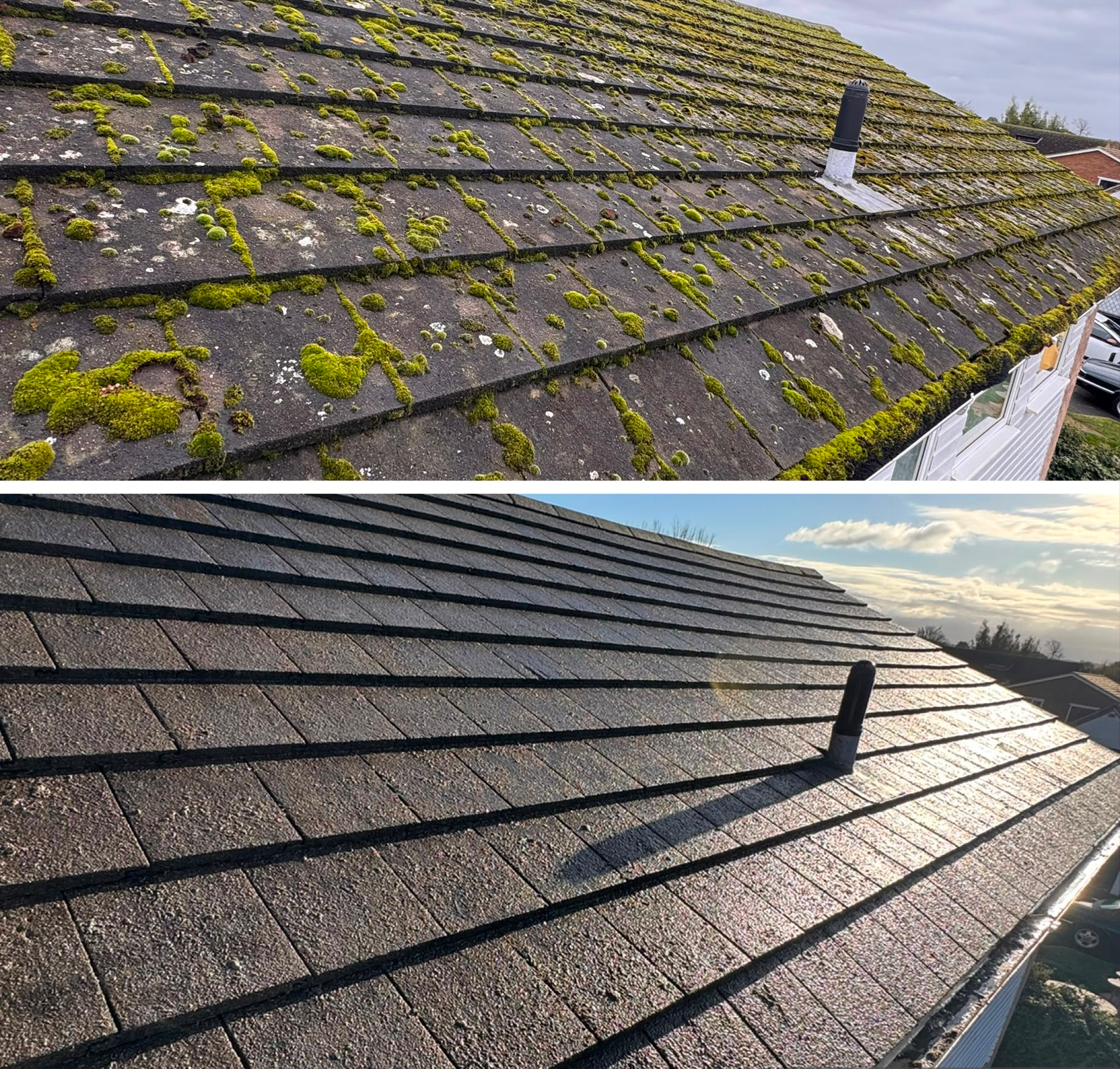 Combined before and after photograph of flat grey concrete roof tiles: the upper frame shows thick bright green moss cushions and white lichen spots, the lower frame shows the same tiles clear with the vent pipe and tile texture visible.