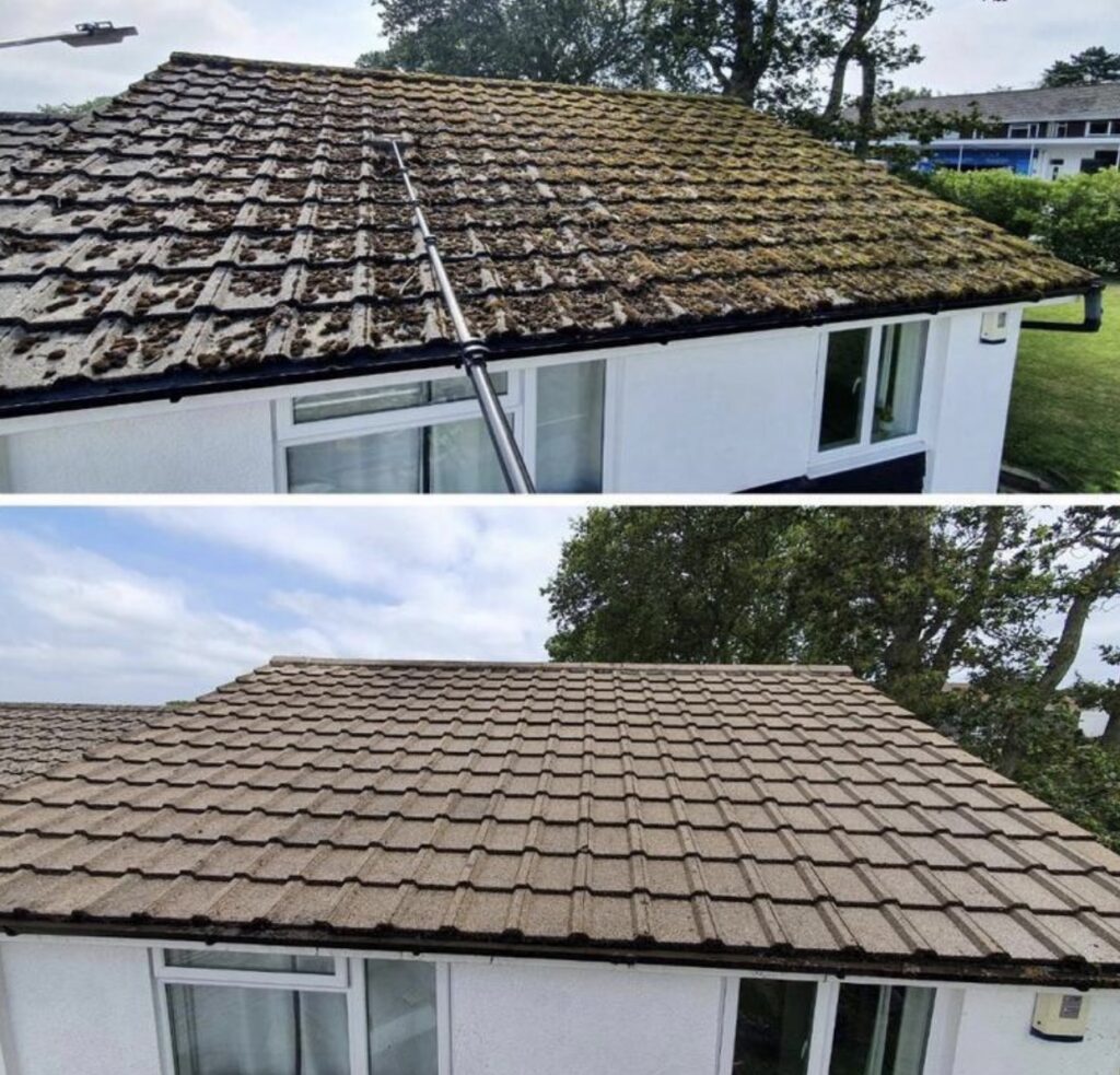 Sky Scrapers roof cleaning project 4