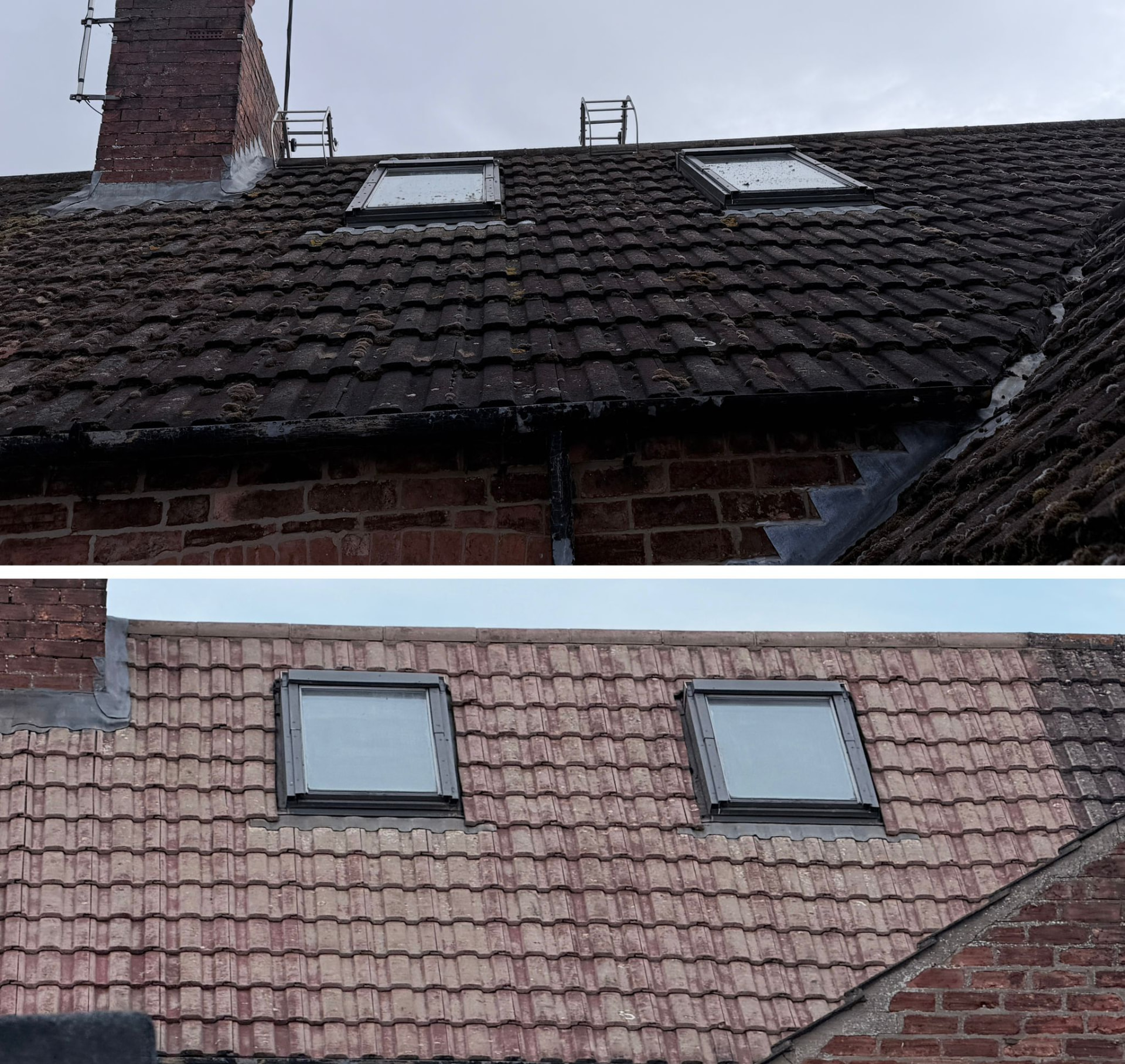 Combined before and after photograph of a pitched roof with two roof windows: the upper frame shows the tiles heavily darkened with moss around the chimney and windows, the lower frame shows the same pitch cleaned to an even terracotta finish.