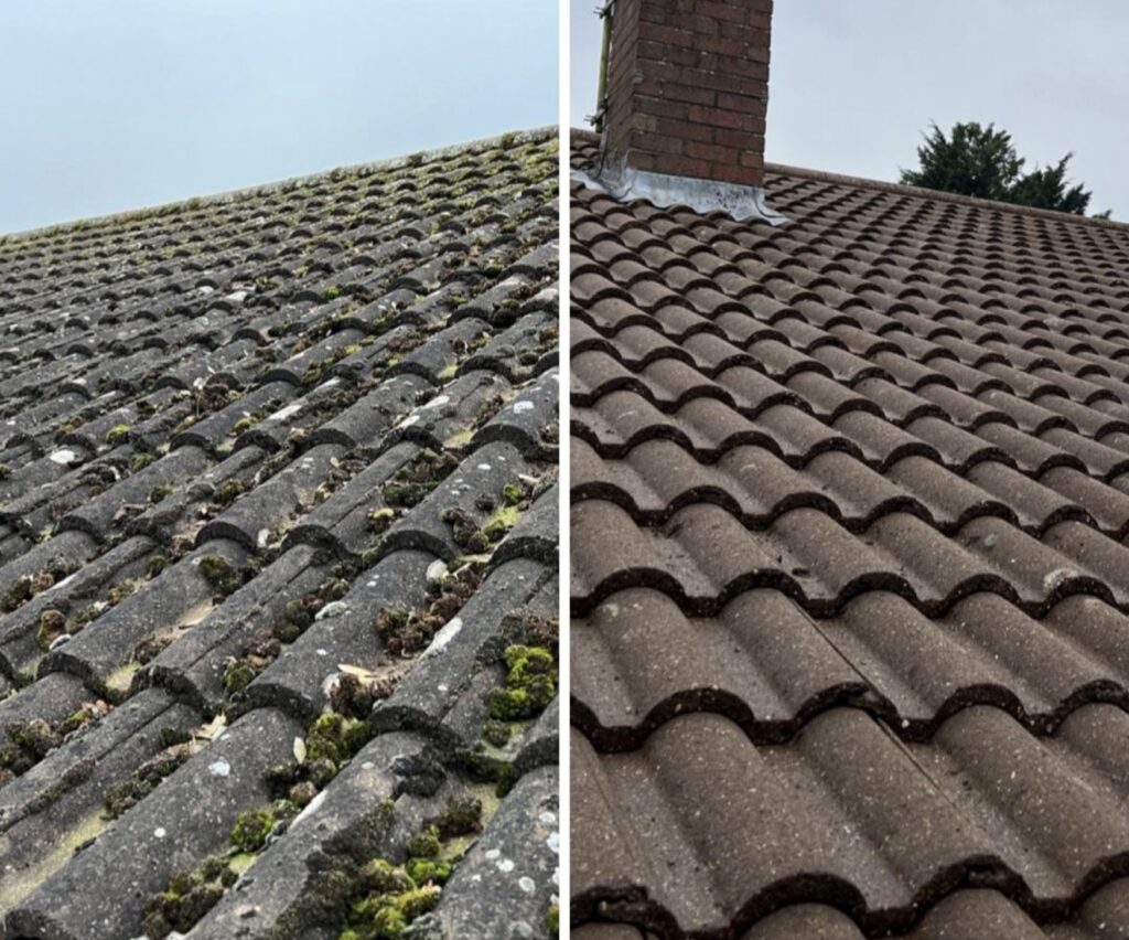 Sky Scrapers roof cleaning project 2