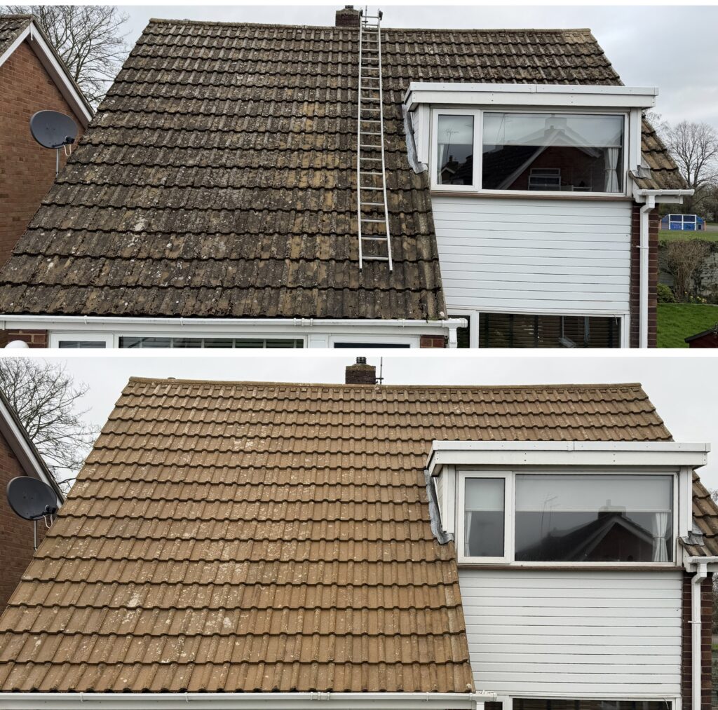Gutter and exterior clean