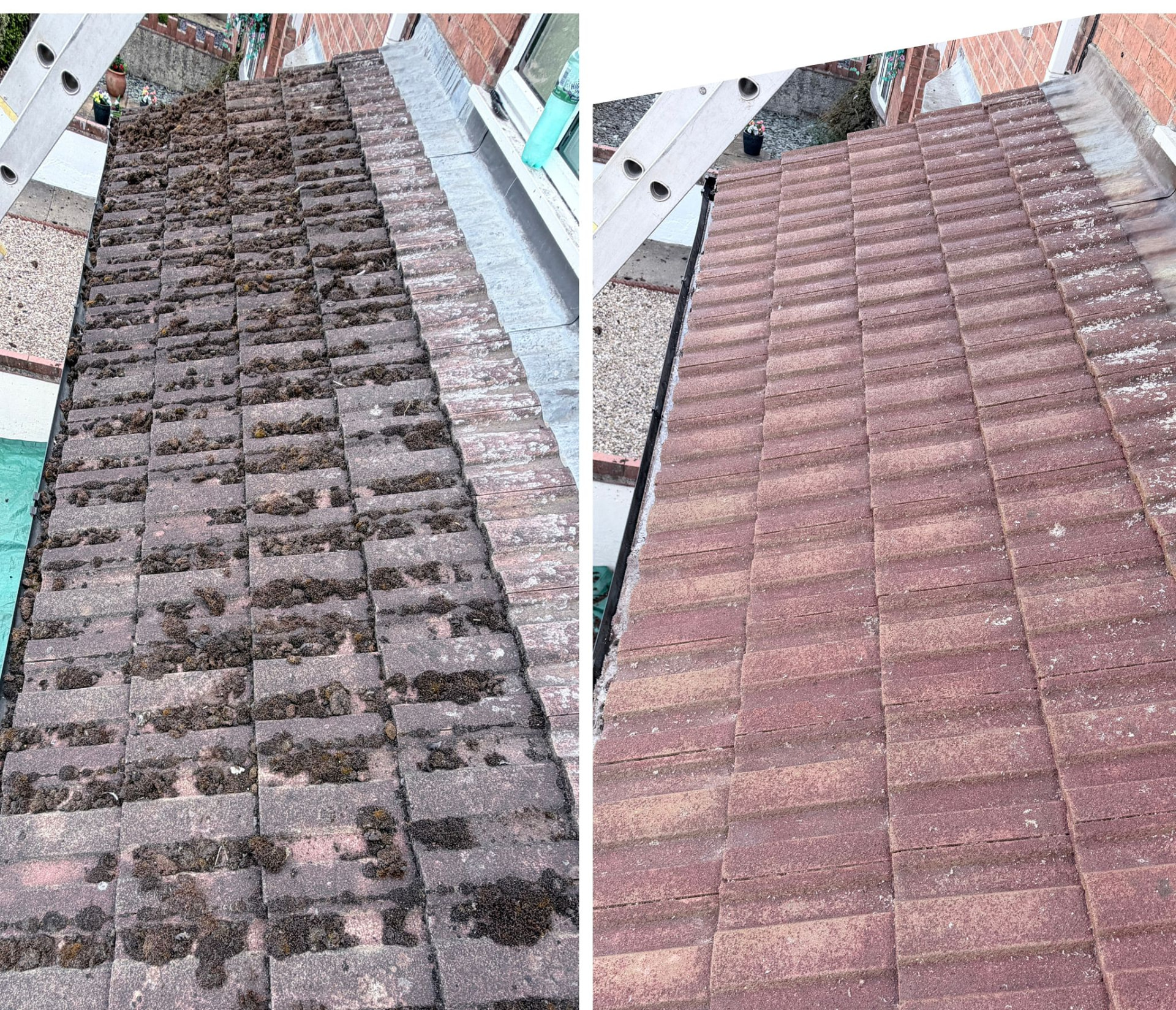 Combined before and after photograph taken from ladder height beside a roof slope: the left frame shows flat tiles thick with moss next to lead flashing, the right frame shows the same tiles cleaned back to a warm red finish.