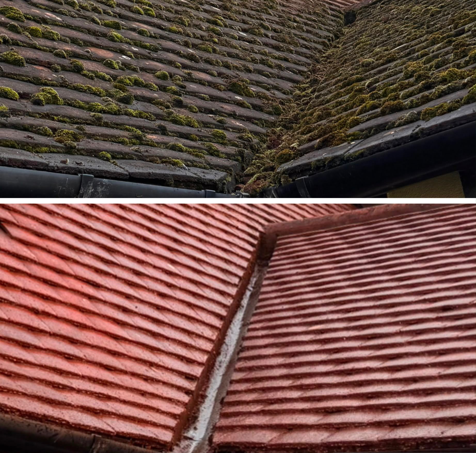Combined before and after photograph of a roof valley: the top frame shows clumps of green moss packed along the tile courses and into the valley, the bottom frame shows the same red tiles cleared and clean.