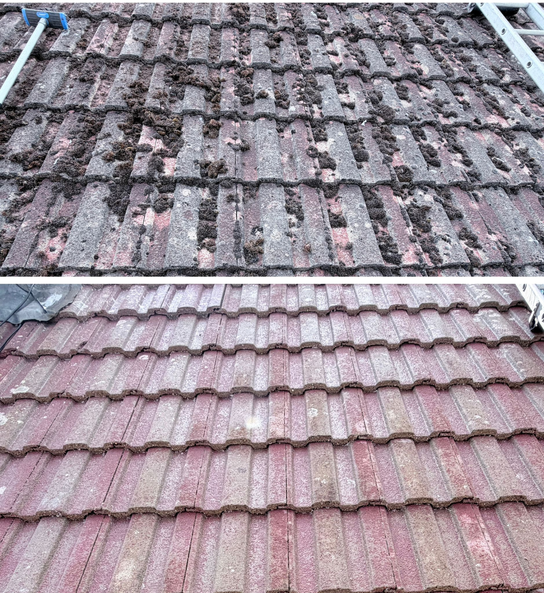 Combined before and after photograph of profiled concrete roof tiles: the upper frame shows the tiles dark with moss and lichen across every course with a brush on a pole at the ridge, the lower frame shows the same tiles cleaned to an even red-brown finish.